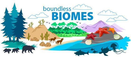 picture of biomes