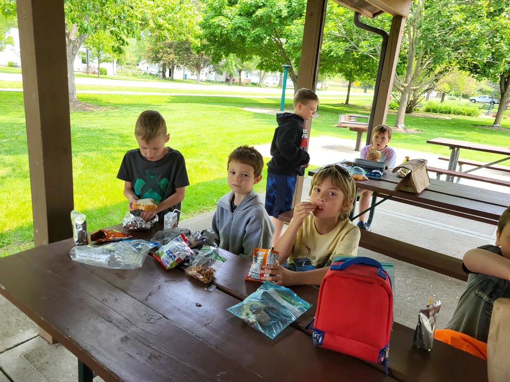 picnic